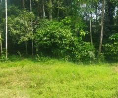 Land For Sale - 2/5