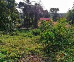 Land For Sale - 2/4