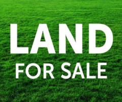 Land for Sale at Boralesgamuwa