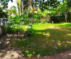 Land For Sale - 2/5