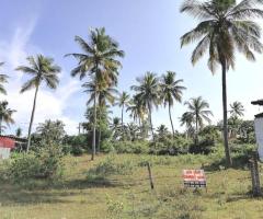 Land For Sale - 1/5