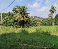 Land For Sale - 5/5