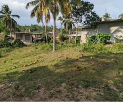 Land For Sale - 4/5