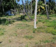 Land For Sale - 2/5