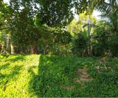 Land For Sale - 5/5