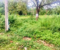 Land For Sale - 1/4