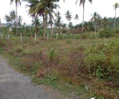 Land For Sale - 3/5