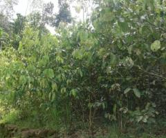 House For Sale - 2/5