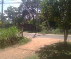 රයිගම්පුරවරයෙන් අගනා බිම්කොටසක් විකිණීමට... - 3/3