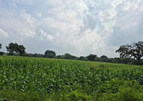 Land With House For Sale