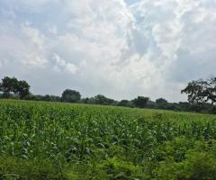 Land With House For Sale - 1/5