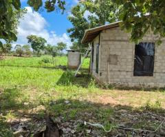 Land With House For Sale - 2/5