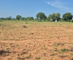 Land With House For Sale - 3/5