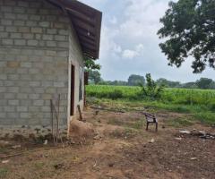 Land With House For Sale - 5/5