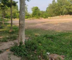 Land For Sale - 2/4