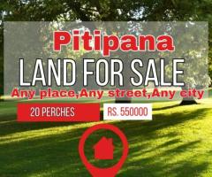 Land For Sale - 1/1