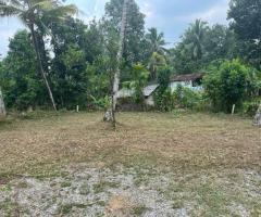 Land For Sale - 3/3