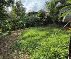 Land For Sale - 1/5