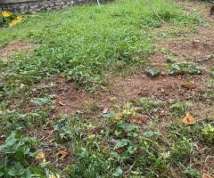Land For Sale - 3/5