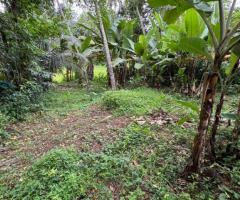 Land For Sale - 5/5