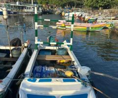 Boat For Sale