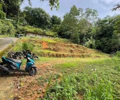 Land For Sale - 2/5