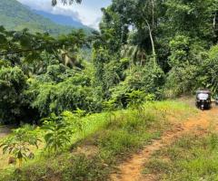 Land For Sale - 4/5