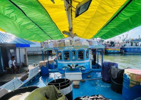 Boat For Sale