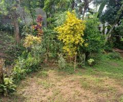 Land With House For Sale - 2/5