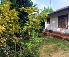 Land With House For Sale - 4/5