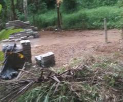 Land For Sale - 1/5
