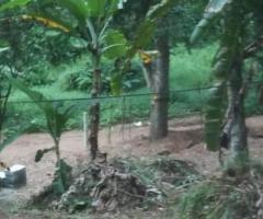 Land For Sale - 3/5