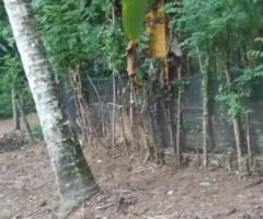 Land For Sale - 4/5