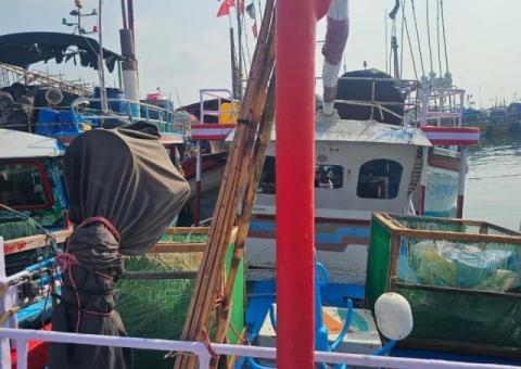 Boat For Sale