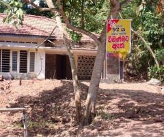 Land With House For Sale - 2/2