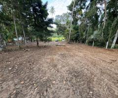 Land For Sale - 2/5