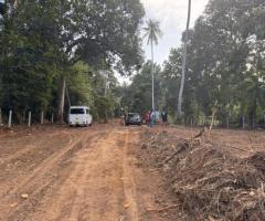 Land For Sale - 4/5