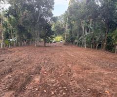 Land For Sale - 5/5
