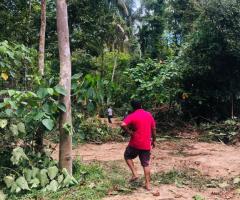 Land For Sale - 1/5