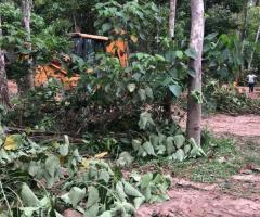 Land For Sale - 2/5