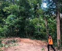 Land For Sale - 4/5