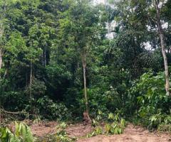 Land For Sale - 5/5