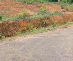 Land For Sale - 2/5