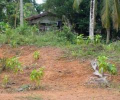 Land For Sale - 3/5