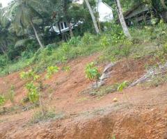 Land For Sale - 4/5