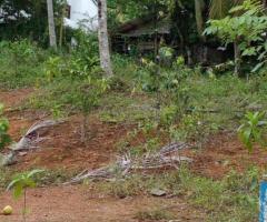 Land For Sale - 5/5