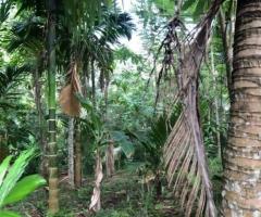Land With House For Sale