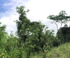 Land With House For Sale - 2/5