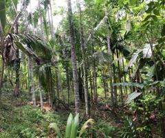 Land With House For Sale - 4/5