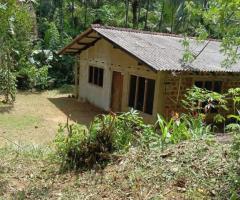 Land With House For Sale - 5/5